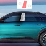 Peugeot 3008 Uyumlu Yan Çıta Tpu Koruyucu 4'lü Set
